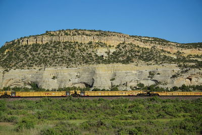 Freight train by grassy field against mountain