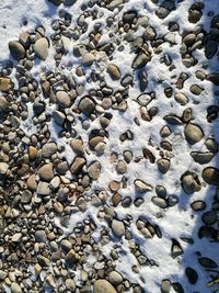 Full frame shot of stones on beach