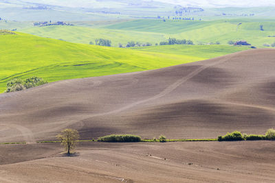 Scenic view of landscape