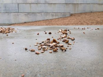 Close-up of pebbles