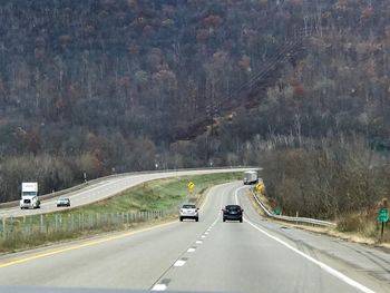 Cars on road against trees