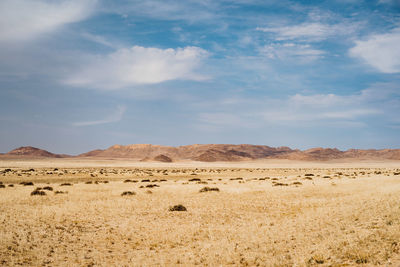 View of a desert