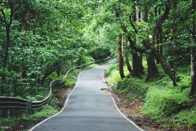 Road amidst trees in forest