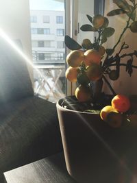 Close-up of food on table