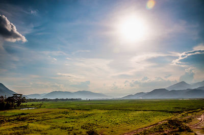 Scenic view of field against sky