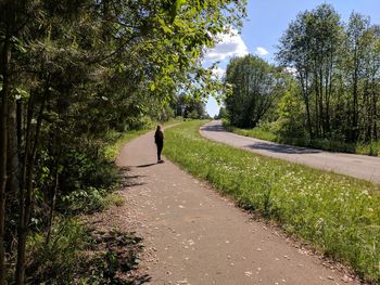 Woman standing on road amidst trees