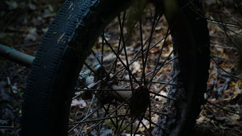 Close-up of bicycle wheel
