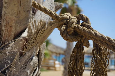 Close-up of rope tied to wooden post