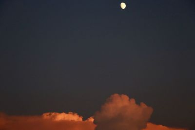 Low angle view of sky at night