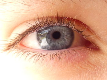 Close-up of human eye