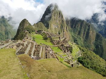 View of plants on landscape against cloudy sky