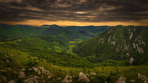 Scenery of the vargyas canion.