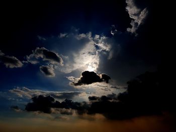 Low angle view of silhouette birds at sunset