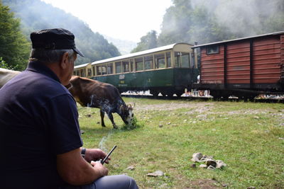 Side view of man looking at cow standing by train on field