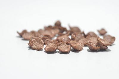 Close-up of chocolate cake