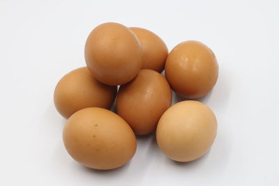 High angle view of eggs against white background