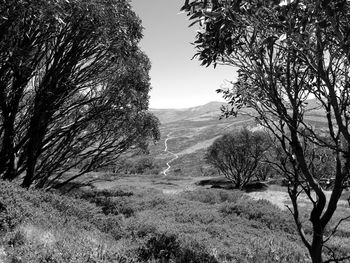 Scenic view of land against clear sky