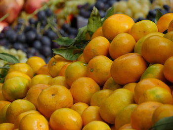 Close-up of oranges at market stall