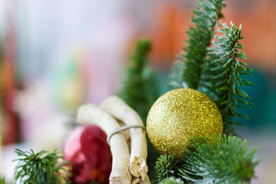 Christmas balls on a green branch of a christmas tree. holiday concept new year. place for your text