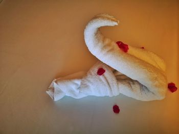 High angle view of white flower on table