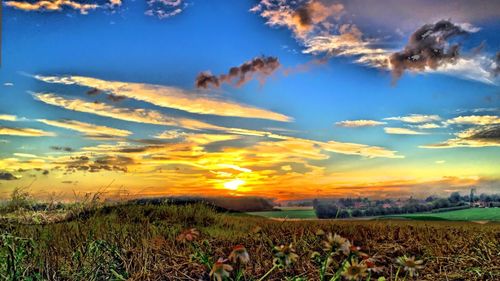 Scenic view of field against cloudy sky