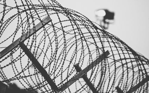 Close-up of razor barbed wire