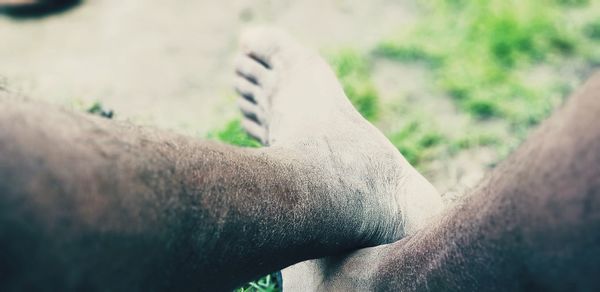 Close-up of hand against blurred background