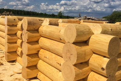 Stack of logs in forest