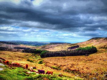 Scenic view of landscape against cloudy sky