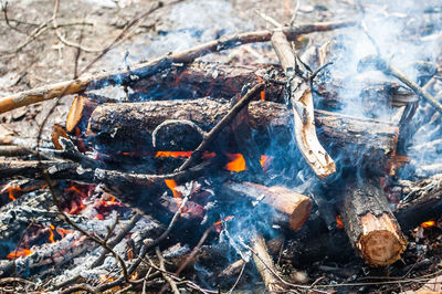 Close-up of bonfire