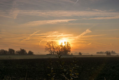 Scenic view of field against sky during sunset