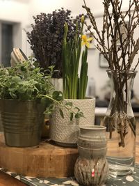 Close-up of potted plant on table