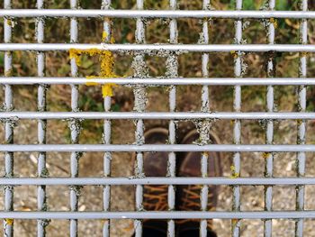 Low section of person seen through metal grate