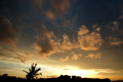 Low angle view of silhouette trees against dramatic sky