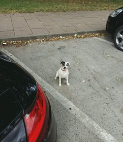 Car on road