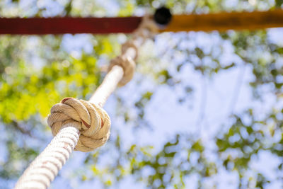 Scout for adventure learning, one rope climbing checkpoint. choose a focus, rope knot that 
