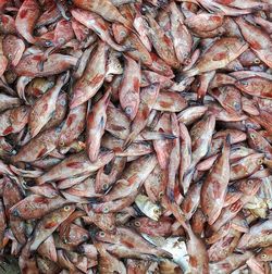 Full frame shot of fish at market stall