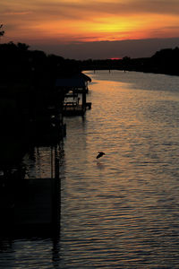 Swan in lake against sky during sunset