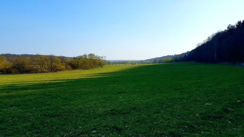 Scenic view of field against clear blue sky