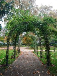 Footpath amidst trees against sky during autumn