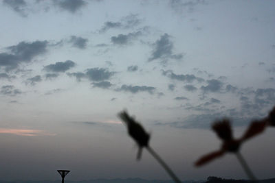 Low angle view of silhouette bird flying against sky during sunset