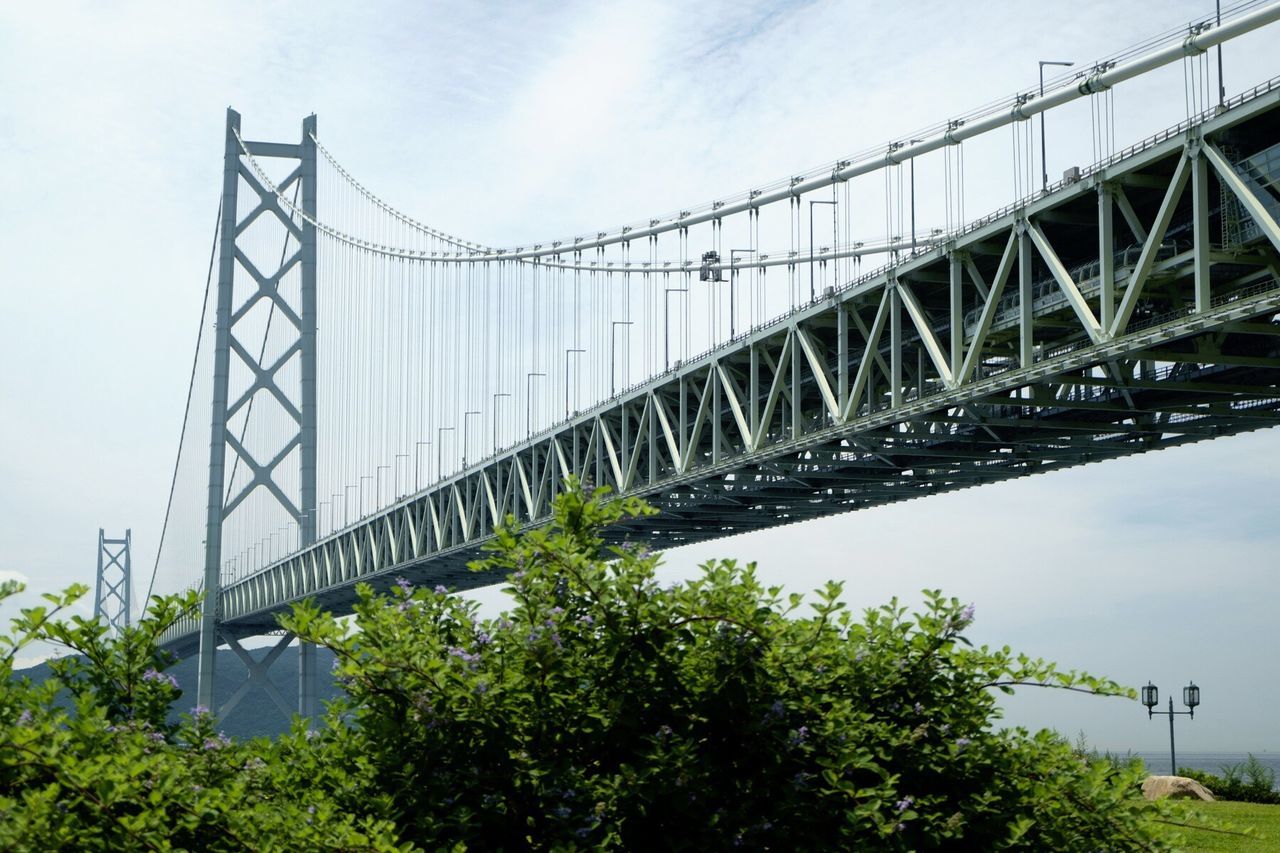 connection, bridge - man made structure, built structure, architecture, low angle view, engineering, sky, bridge, tree, no people, day, outdoors, green color, growth, cloud, cloud - sky, travel destinations, diminishing perspective, nature