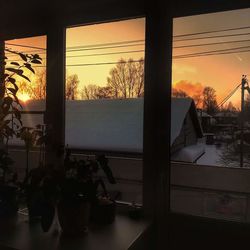 Trees against sky seen through window