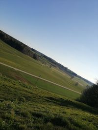 Scenic view of field against clear sky