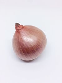Close-up of over white background