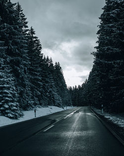 Road amidst trees against sky during winter