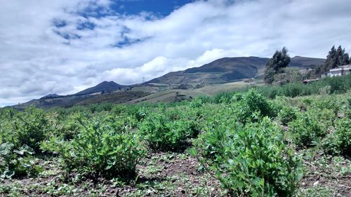 Scenic view of mountains against cloudy sky