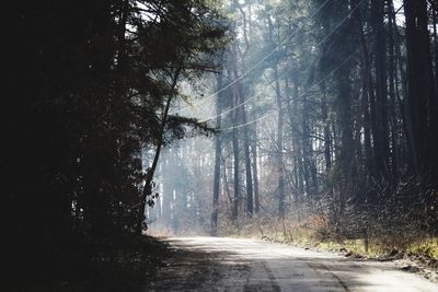 Road amidst trees in forest