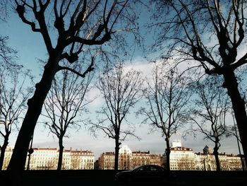 Bare trees with buildings in background