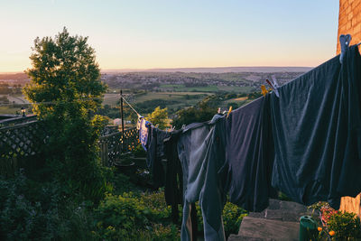 Panoramic view of an animal against sky